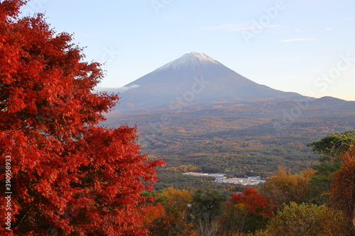 真っ赤な紅葉と秋の富士山