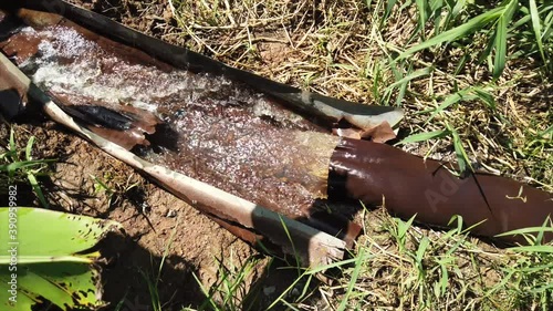 water flow out from pipe to the field.