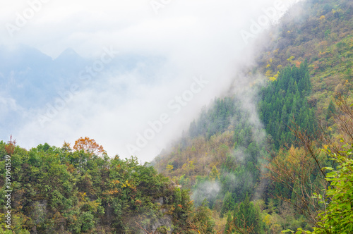 Autumn scenery of Enshi Grand Canyon Scenic Area  Hubei  China