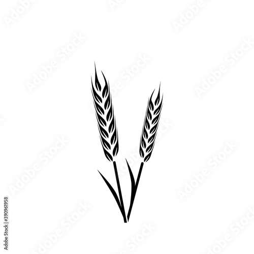 Wheat icon isolated on white background