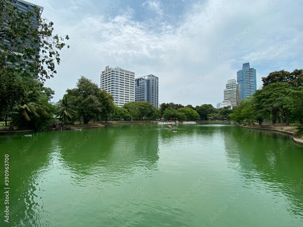 Fototapeta premium View across pond in park