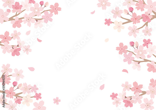 桜　イラスト　フレーム　 © ayumi