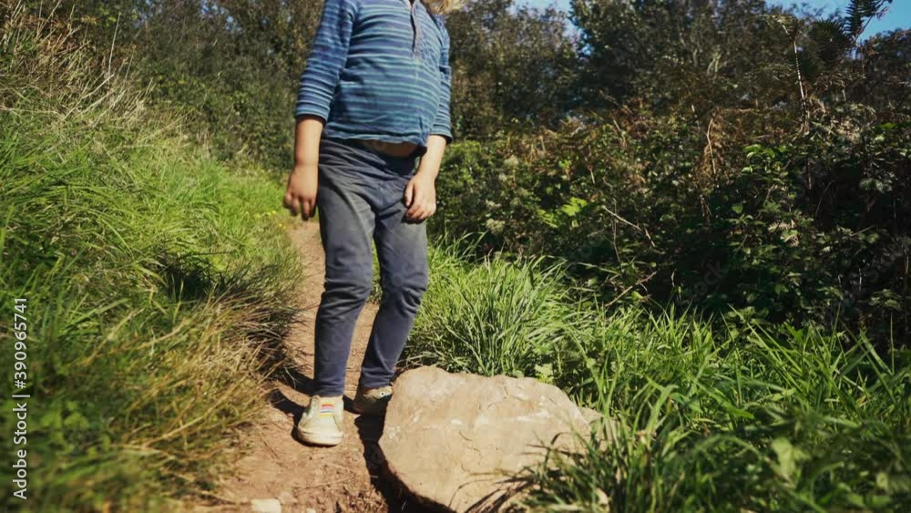 A little preschooler is looking at a rock on a path in the countryside A little preschooler is looking at a rock on a path in the countryside