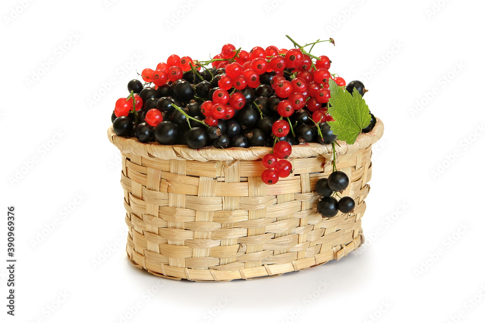 Red and black currants  in a wicker basket isolated on white .