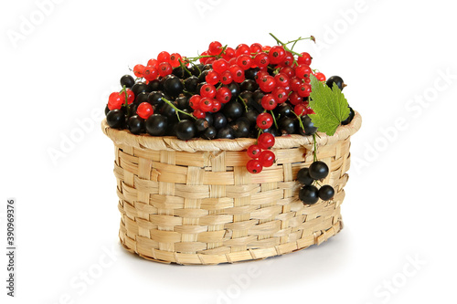 Red and black currants  in a wicker basket isolated on white .