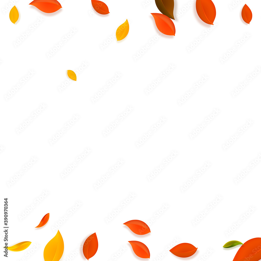 Falling autumn leaves. Red, yellow, green, brown c Falling autumn leaves. Red, yellow, green, brown c