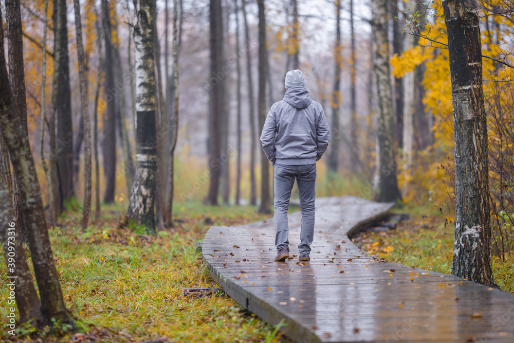 Fototapeta premium One young adult man in gray warm clothes slowly walking on wet wooden trail at natural park in rainy cold autumn evening. Spending time alone in nature. Peaceful atmosphere. Back view.