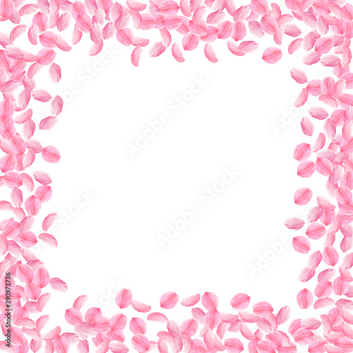 Sakura petals falling down. Romantic pink bright m © Begin Again