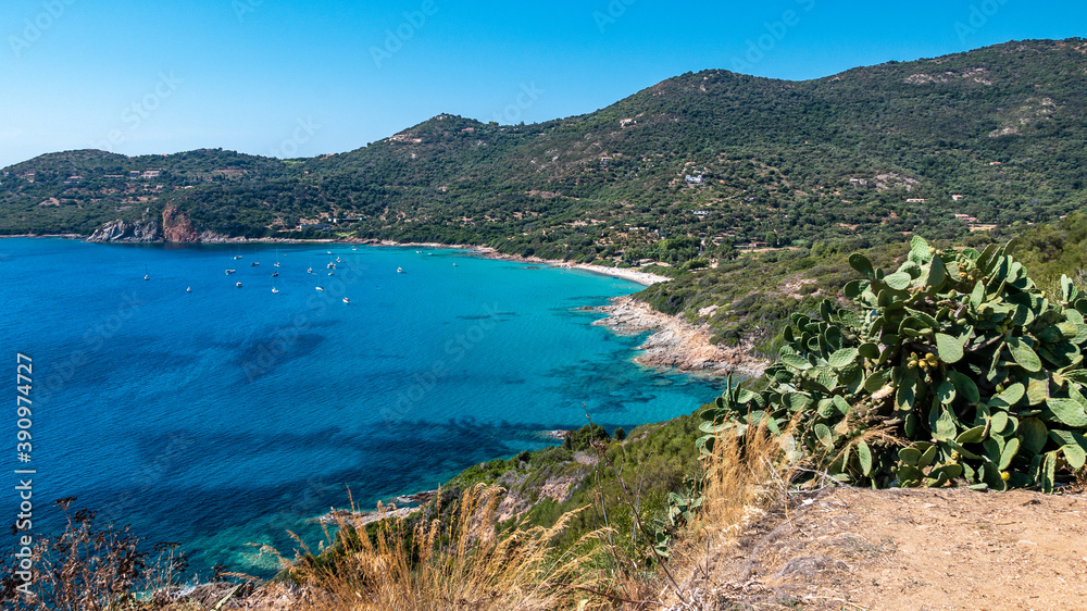Fototapeta premium Corsica France paradise beach with turquoise water