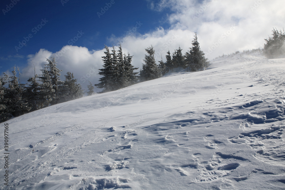 Snowy slopes in the mountains.