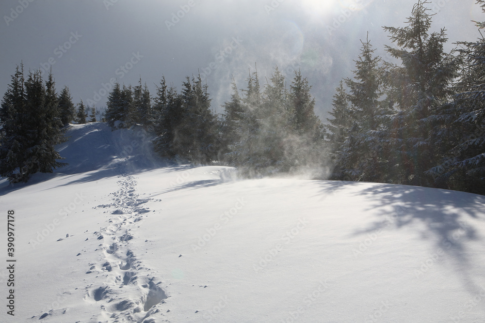 Naklejka premium Snowy slopes in the mountains.