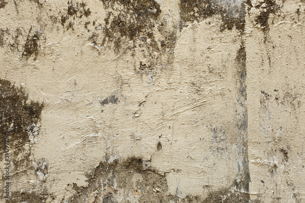 Fototapeta premium The texture of the old beige rustic wall background