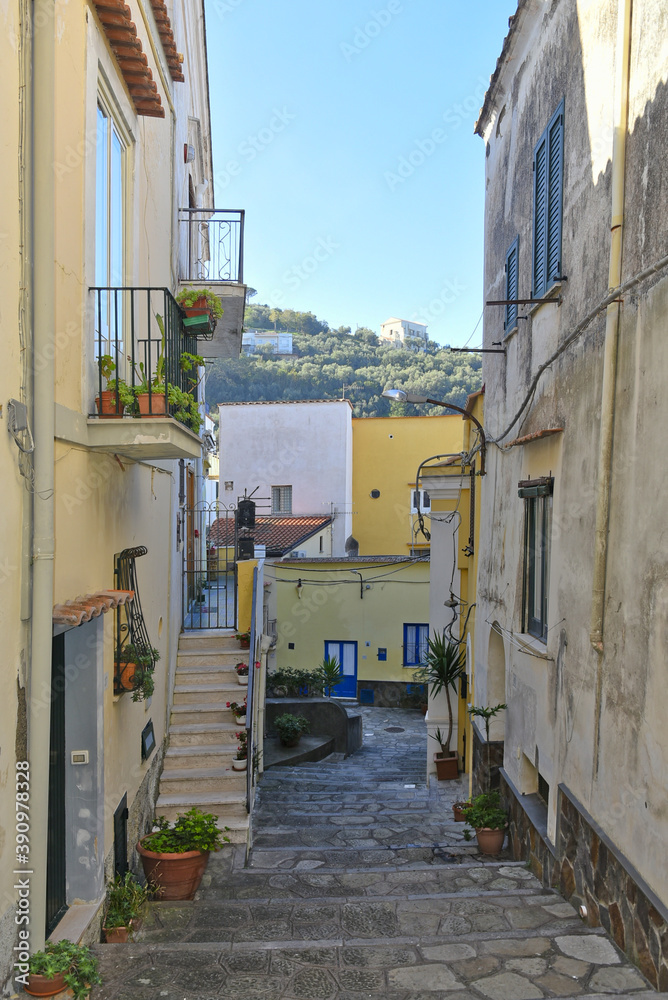 Fototapeta premium A narrow street among the old houses of Massa Lubrense, un villaggio di pescatori nella regione Campania, Italy.