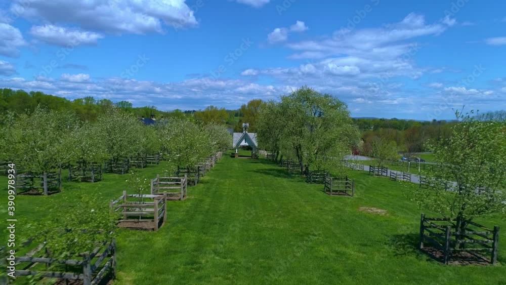 Aerial Drive thru of a Orchard on Sunny Windy Day
Aerial Drive thru of a Orchard on Sunny Windy Day
