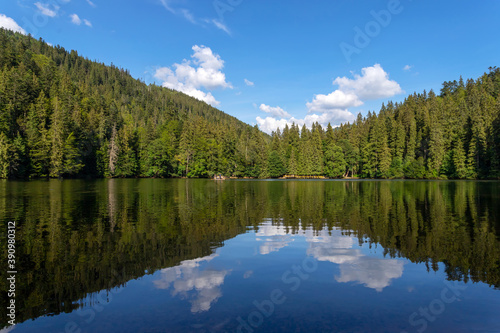 A beautiful mountain lake. Synevyr. Ukraine. The Carpathians.