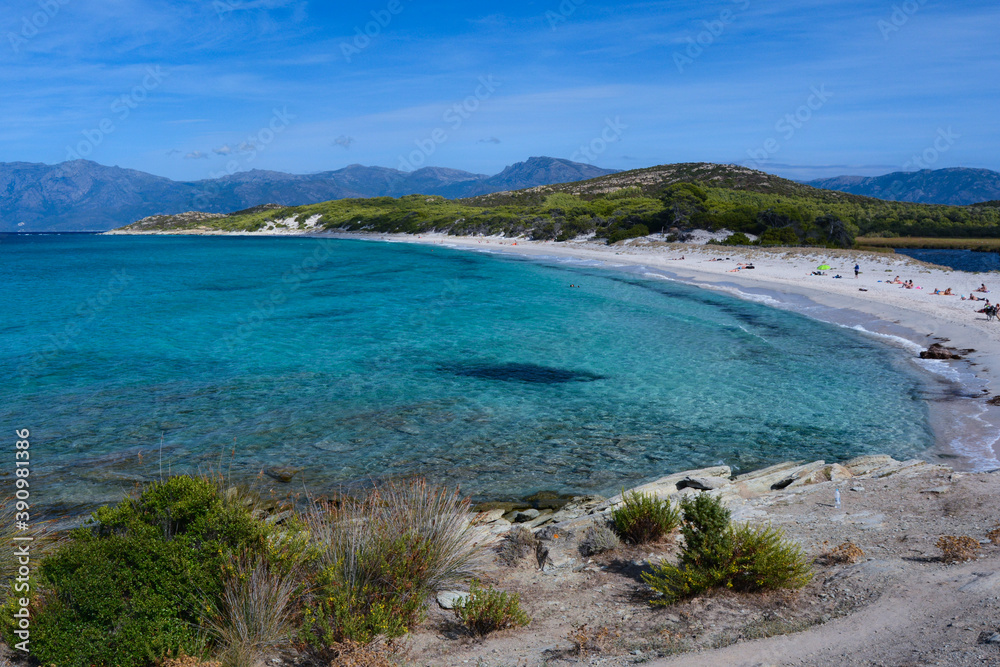 Naklejka premium Saleccia, Corse