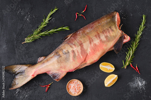 Frozen raw headless chum fish