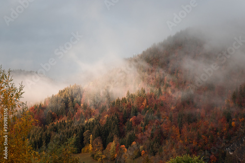 Montagnes de sapins de la Clusaz dans la brume, Haute-Savoie, Alpes françaises © Benoît