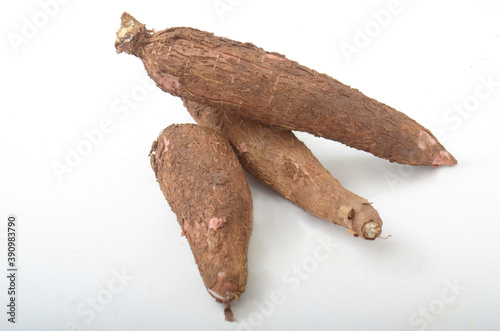 Cassava or Manihot esculenta, source of food carbohydrates, isolated white background