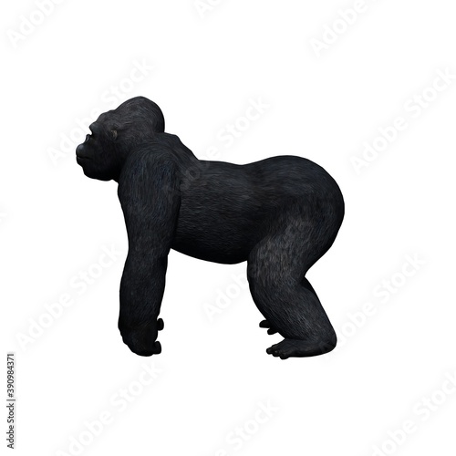 Wild animals - gorilla - isolated on white background - 3D illustration