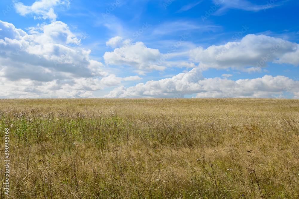 Wide field and blue sky with clouds on a Sunny summer day