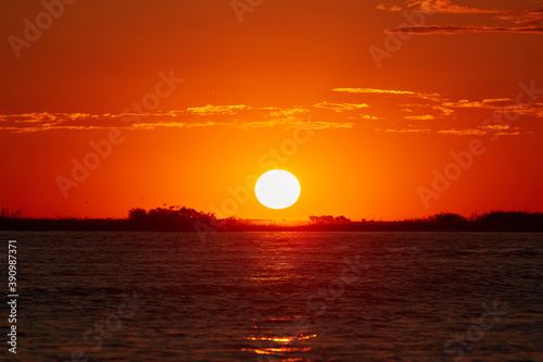 Fototapeta Naklejka Na Ścianę i Meble -  Sunset at the Okavango River in Botswana