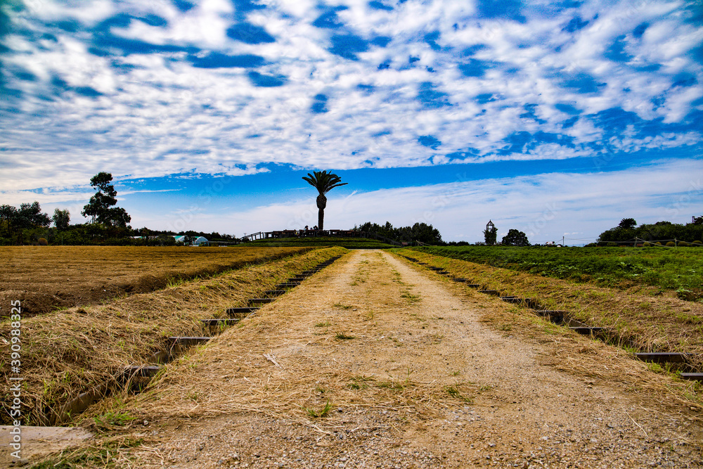 Fototapeta premium country road in region