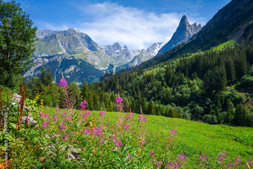 Mountain and pastures landscape in French alps