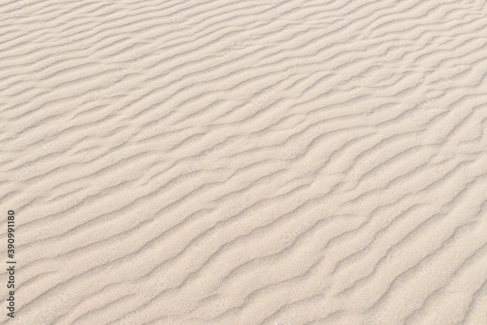 Sand texture background with ripples Sand texture background with ripples