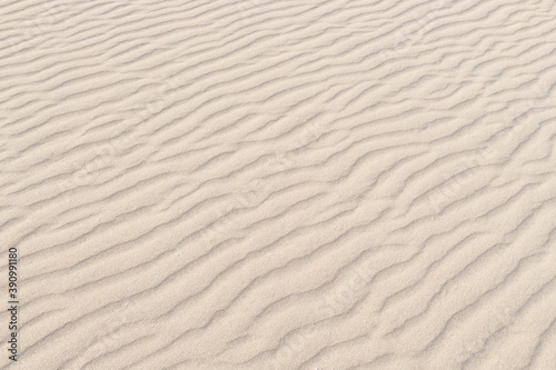 Sand texture background with ripples