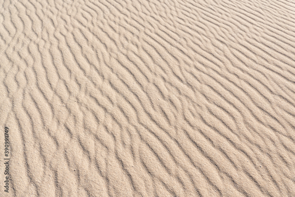 Sand texture background with ripples Sand texture background with ripples