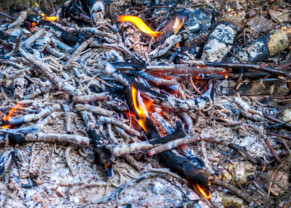Remains of a fire on the ground in summer Remains of a fire on the ground in summer