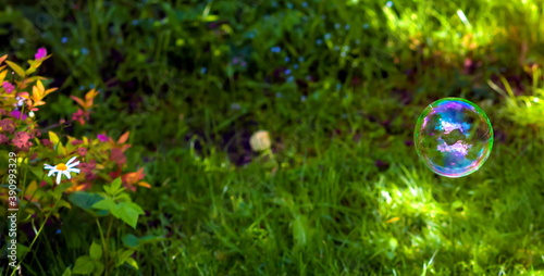 Balloon on the background of green bushes and grass garden (Background, banner, Wallpaper, texture)