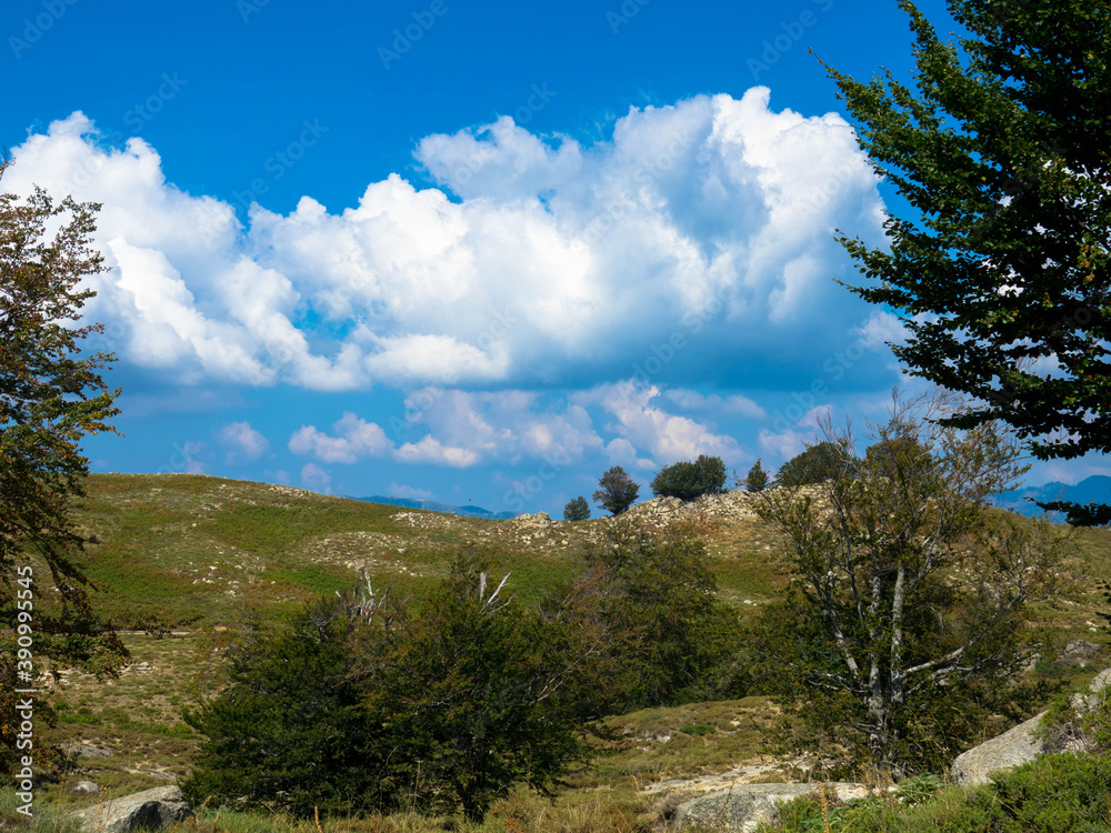 Spectacular landscape at the nature reserve Plateau de Coscione, near Quenza. Corsica, France. Spectacular landscape at the nature reserve Plateau de Coscione, near Quenza. Corsica, France.