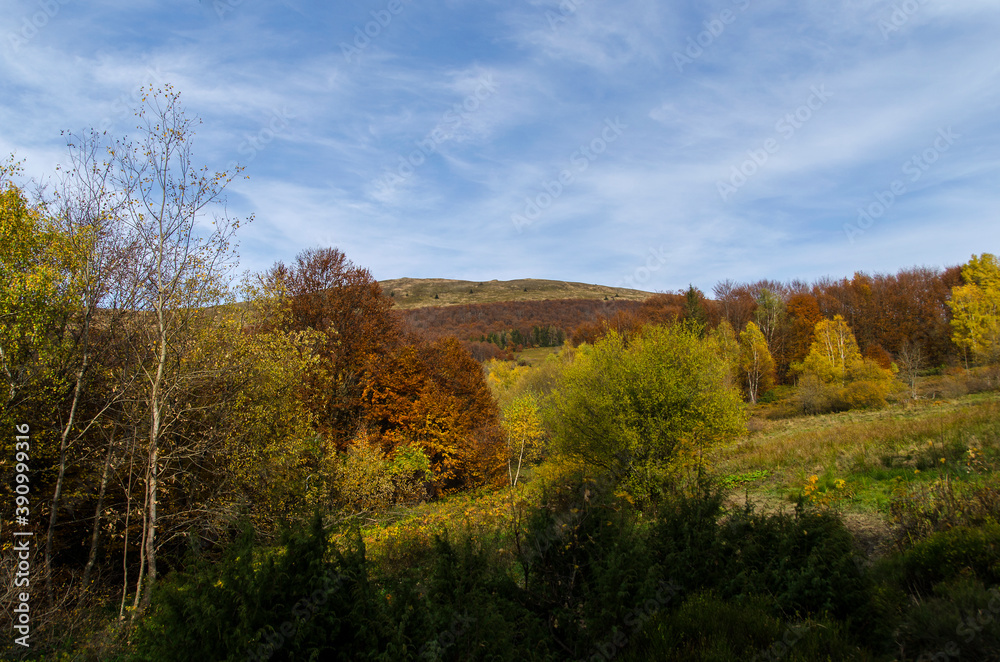 Bieszczady 