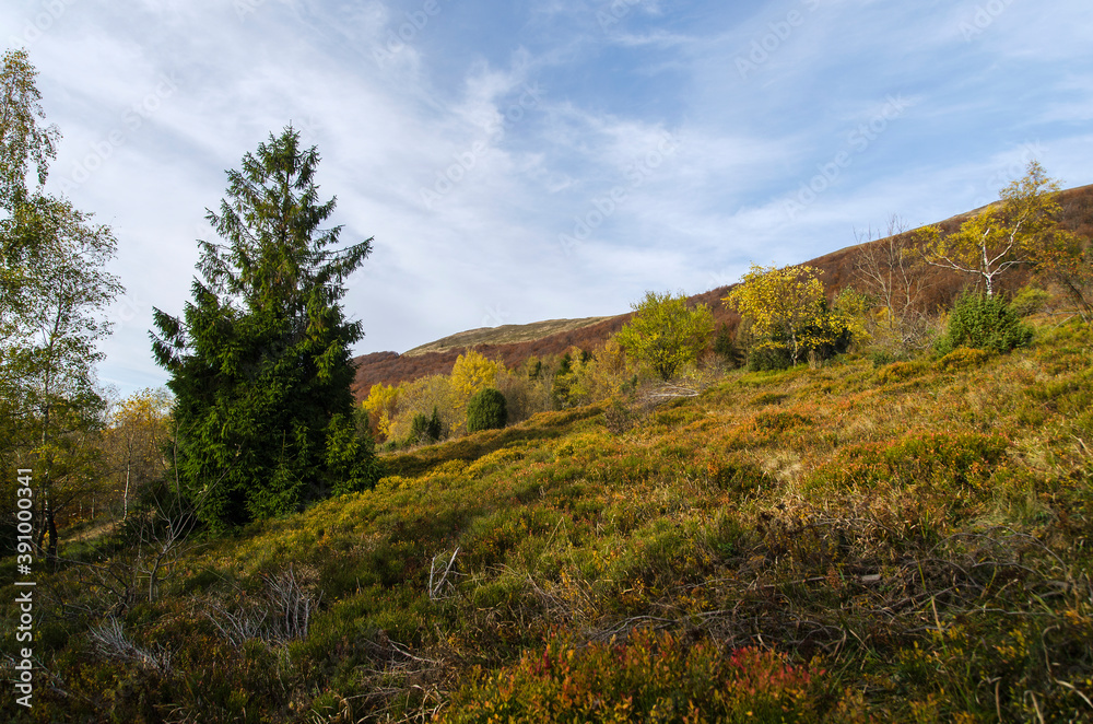 Bieszczady Bieszczady