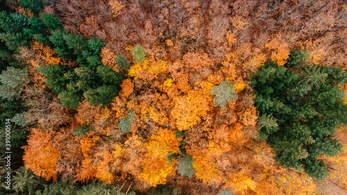 Fall forest landscape view from above. Colorful nature background. Autumn forest aerial drone view.Idyllic fall scenery from a birds eye view.Trees with yellow and orange leaves.Season natural photo.