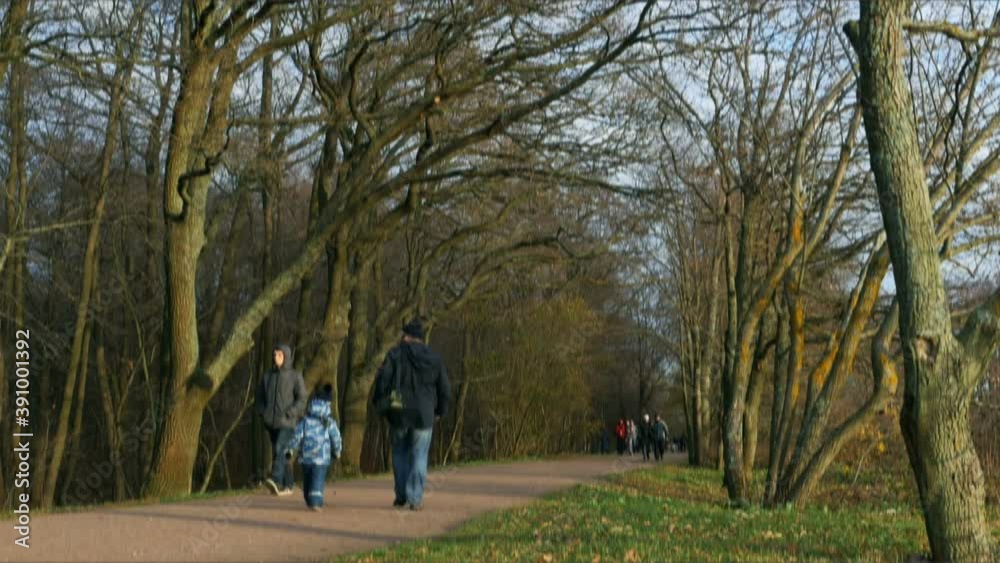 unrecognizable people walking along the paths of a public park in autumn blurry motion time lapse unrecognizable people walking along the paths of a public park in autumn blurry motion time lapse