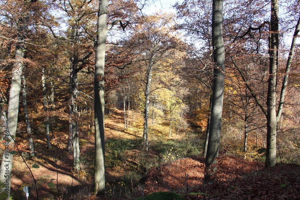 Naklejka premium herbst