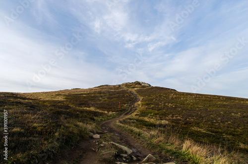 Fototapeta Naklejka Na Ścianę i Meble -  Połonina Caryńska - Bieszczady 