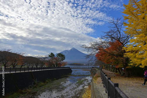 There are subtle signs of autumn everywhere in the park. © Ultra Tama