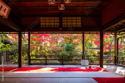 Fotografie 日本　京都、大法院の茶室から見える紅葉