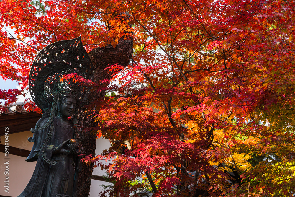 日本　京都、妙心寺の霊雲院の仏像と紅葉