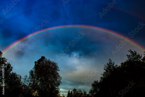 Arco Iris en el bosque