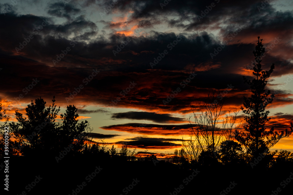 Puesta de sol entre arboles en el bosque Puesta de sol entre arboles en el bosque