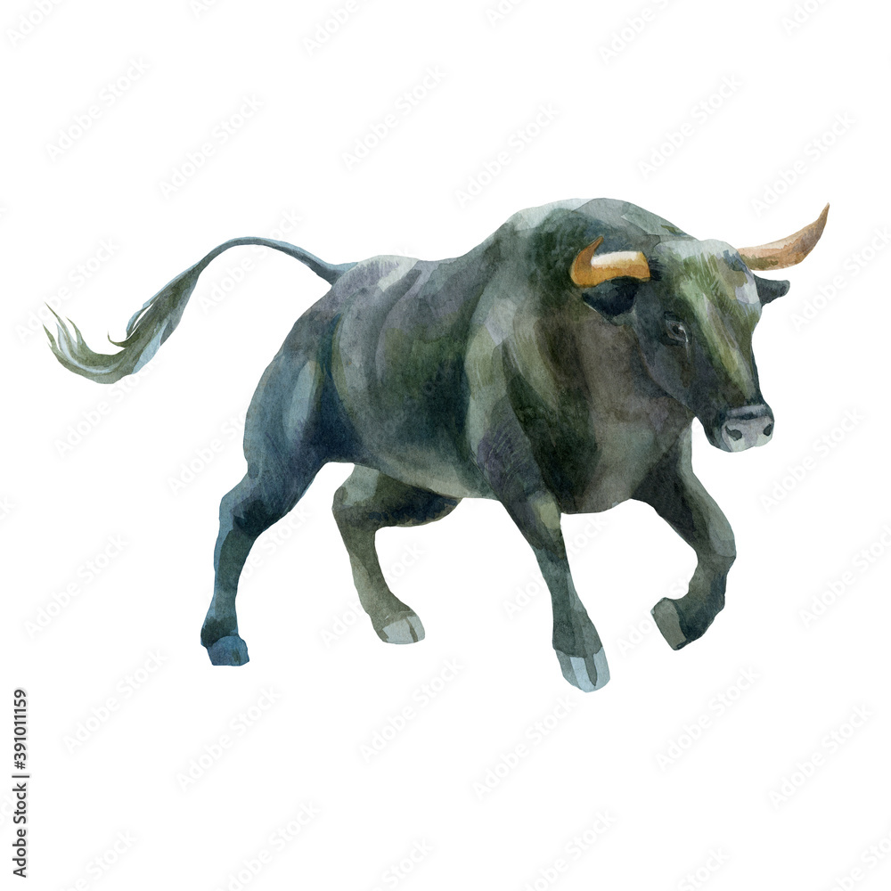 Watercolor illustration, bull. The symbol of the new year, the animal on the farm. Watercolor drawing. Watercolor illustration, bull. The symbol of the new year, the animal on the farm. Watercolor drawing.