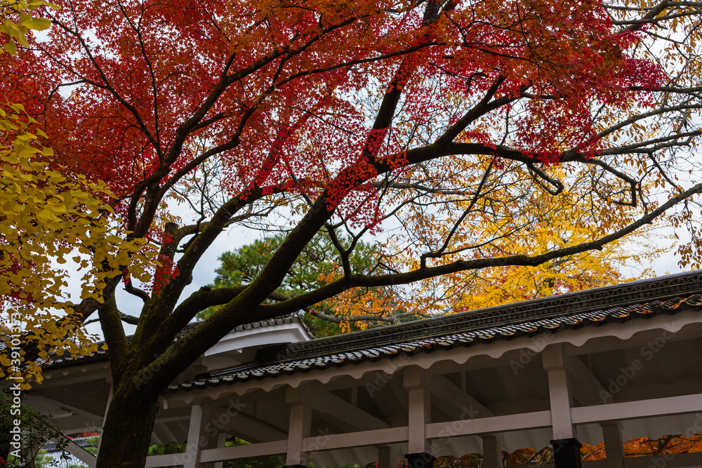 日本　京都、南禅寺の紅葉