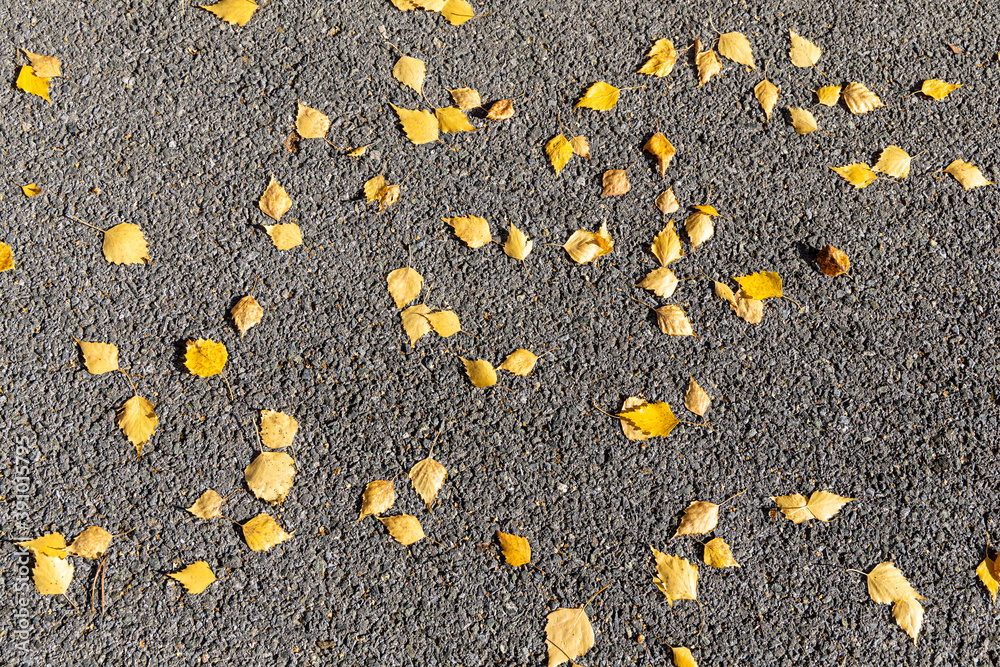 Texture of gray asphalt with orange and yellow leaves is in the park in autumn Texture of gray asphalt with orange and yellow leaves is in the park in autumn