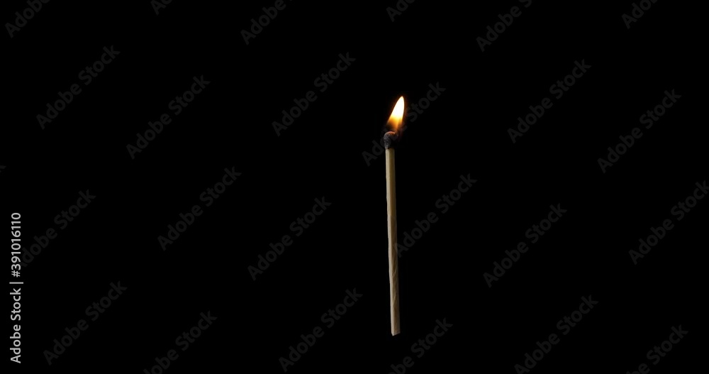 Full body shot of Match burning and combusting on black background. The match lights up, burns, and goes out. Burning matchstick lights and then blown out. Full body shot of Match burning and combusting on black background. The match lights up, burns, and goes out. Burning matchstick lights and then blown out.