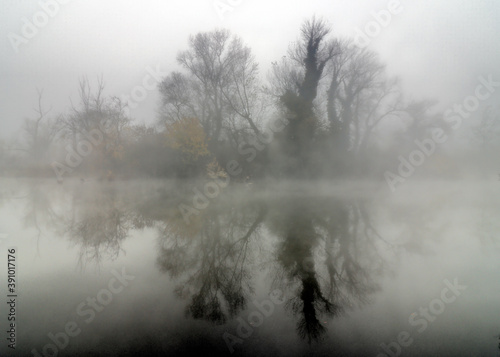 Fog on the Water